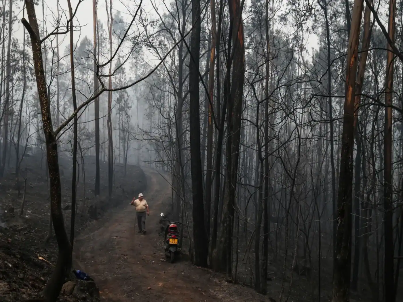 Mais de 121 mil hectares arderam em Portugal continental desde domingo&nbsp;