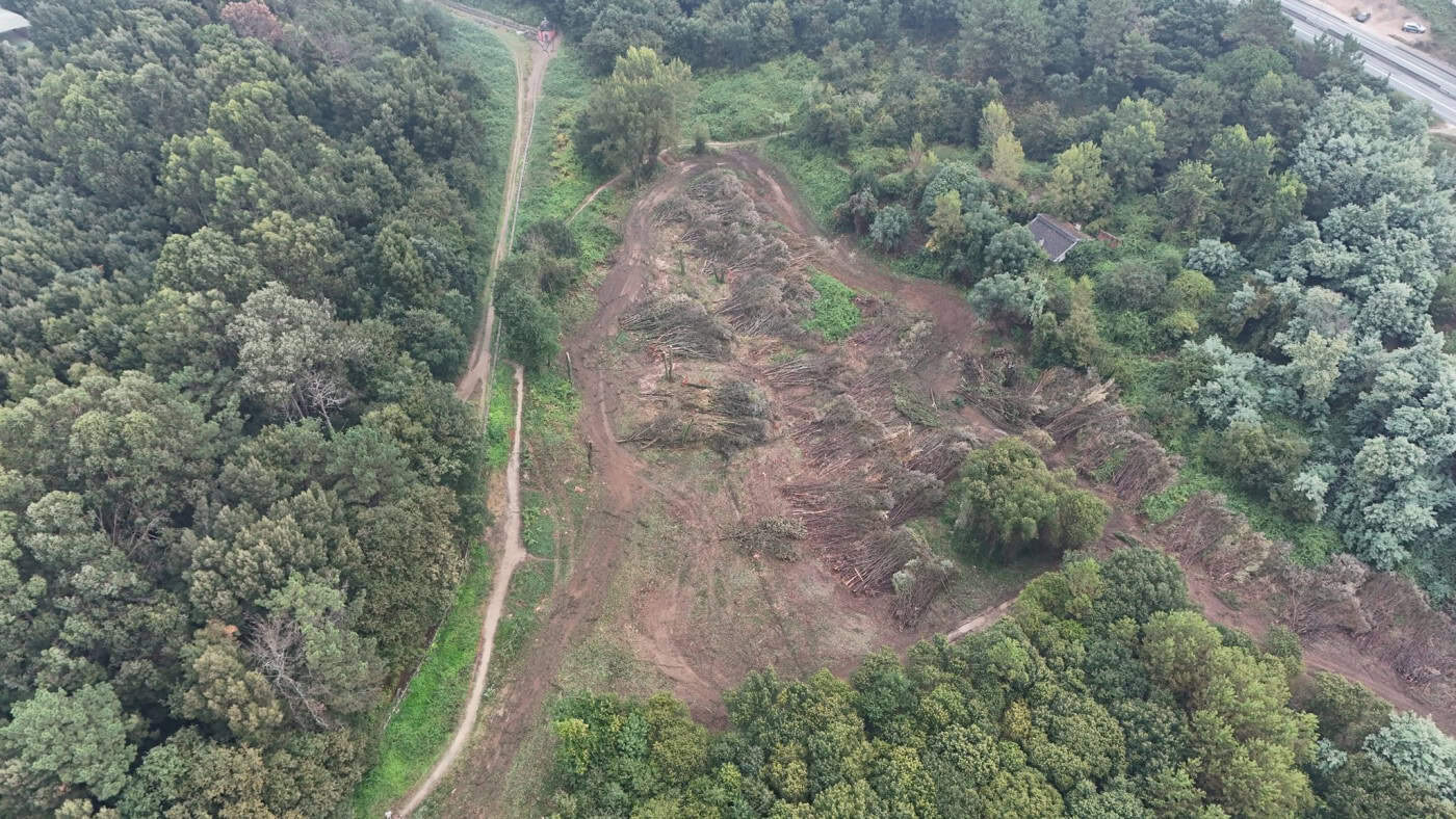 CMB apresenta queixa contra proprietário por abate indevido de árvores nas Sete Fontes