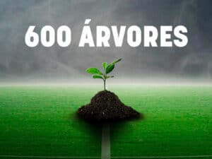 Golos do SC Braga na Madeira valem 600 novas árvores no país