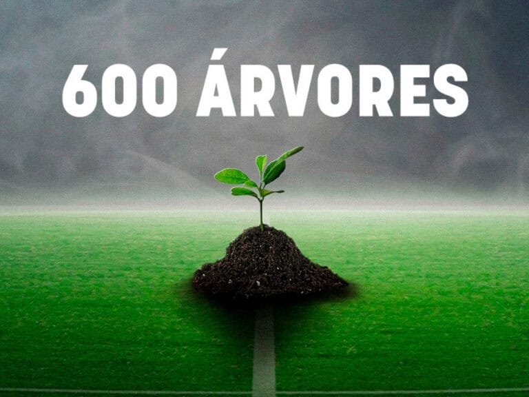 Golos do SC Braga na Madeira valem 600 novas árvores no país