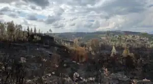 Investigação de incêndios. Equipa anunciada pelo Governo tem primeira reunião 