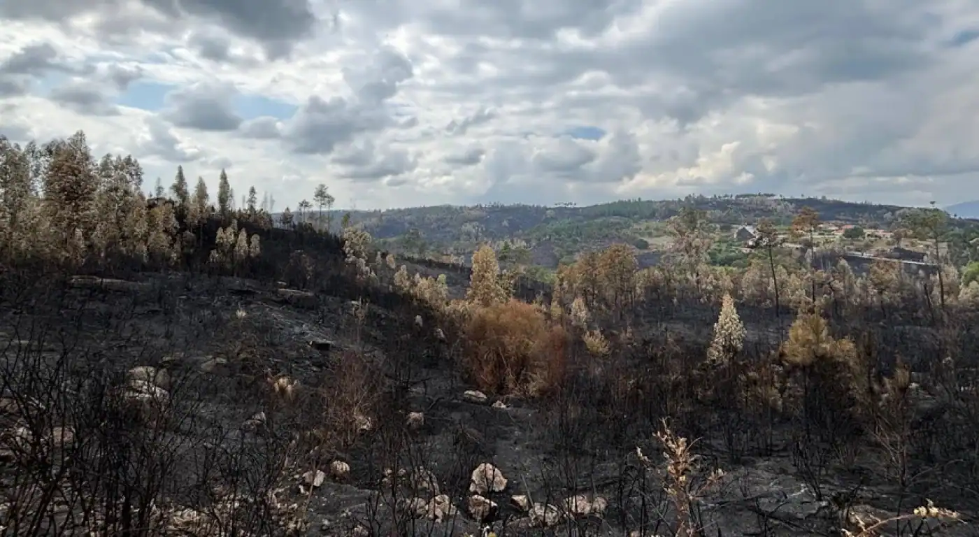 Investigação de incêndios. Equipa anunciada pelo Governo tem primeira reunião