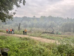 Câmara de Braga já participou ao Ministério Público corte ilegal de árvores nas Sete Fontes