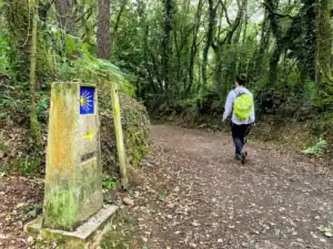 Peregrinos já percorrem novo caminho de Santiago entre Trás-os-Montes e Minho 