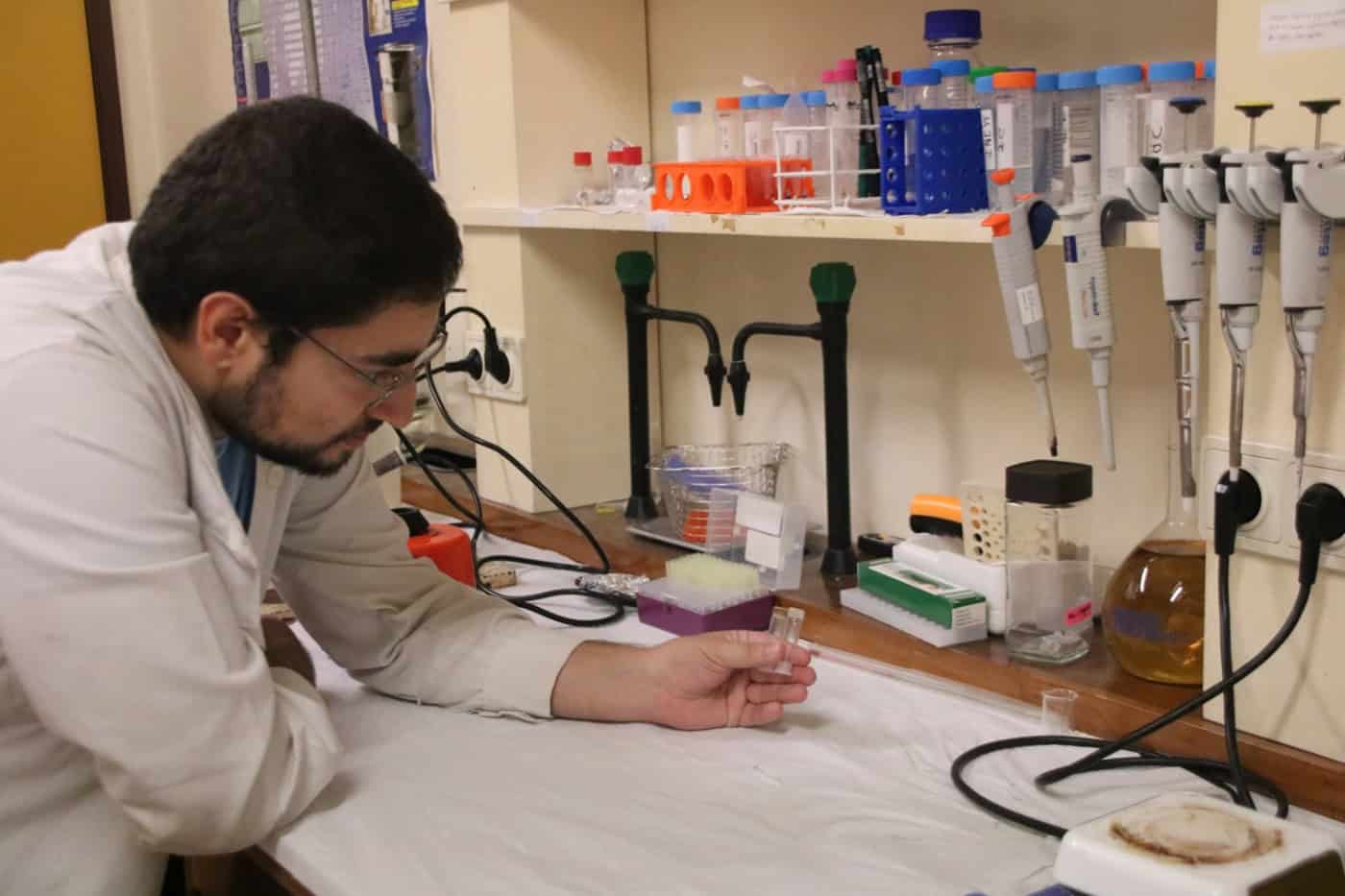 Investigadores da UMinho desenvolvem nanomaterial para combater o cancro