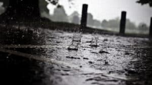 Cávado e Ave registaram 83 ocorrências até às 10:00 devido ao mau tempo