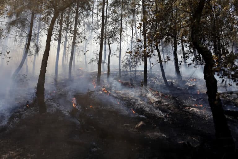 Incêndios. Conselho de Ministros aprovou medidas de apoio e recuperação