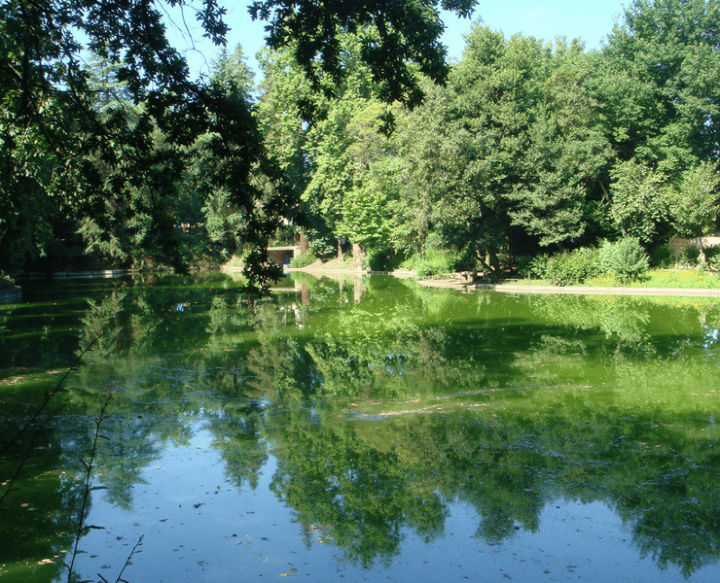 Sustentabilidade. Braga já concretizou 68,8% dos objetivos da Agenda 2030