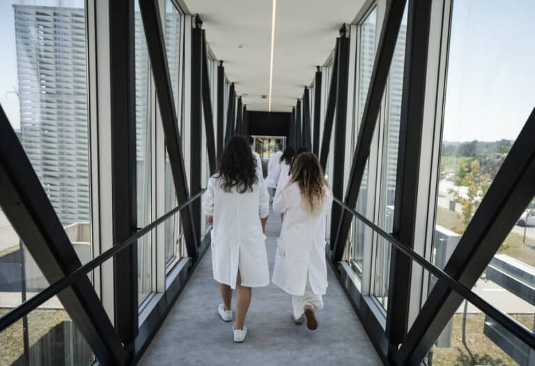 Bolseiros de investigação já podem dar aulas no básico e secundário