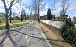 Braga. Abate de árvores em risco condiciona trânsito na manhã de sábado