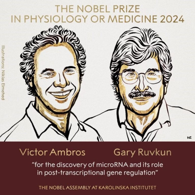 Nobel da Medicina atribuído a Victor Ambros e Gary Ruvkun