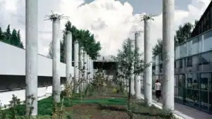 Investimento avultado exige requalificação faseada do Mercado Cultural do Carandá