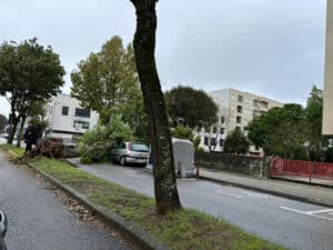 Tempestade provoca falhas de energia e queda de árvores na região