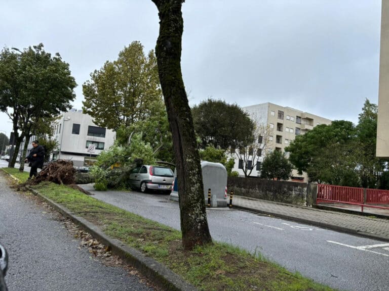 Tempestade provoca falhas de energia e queda de árvores na região