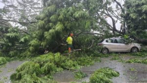 Trabalhos de remoção todo o dia, após noite "sem memória" em Braga
