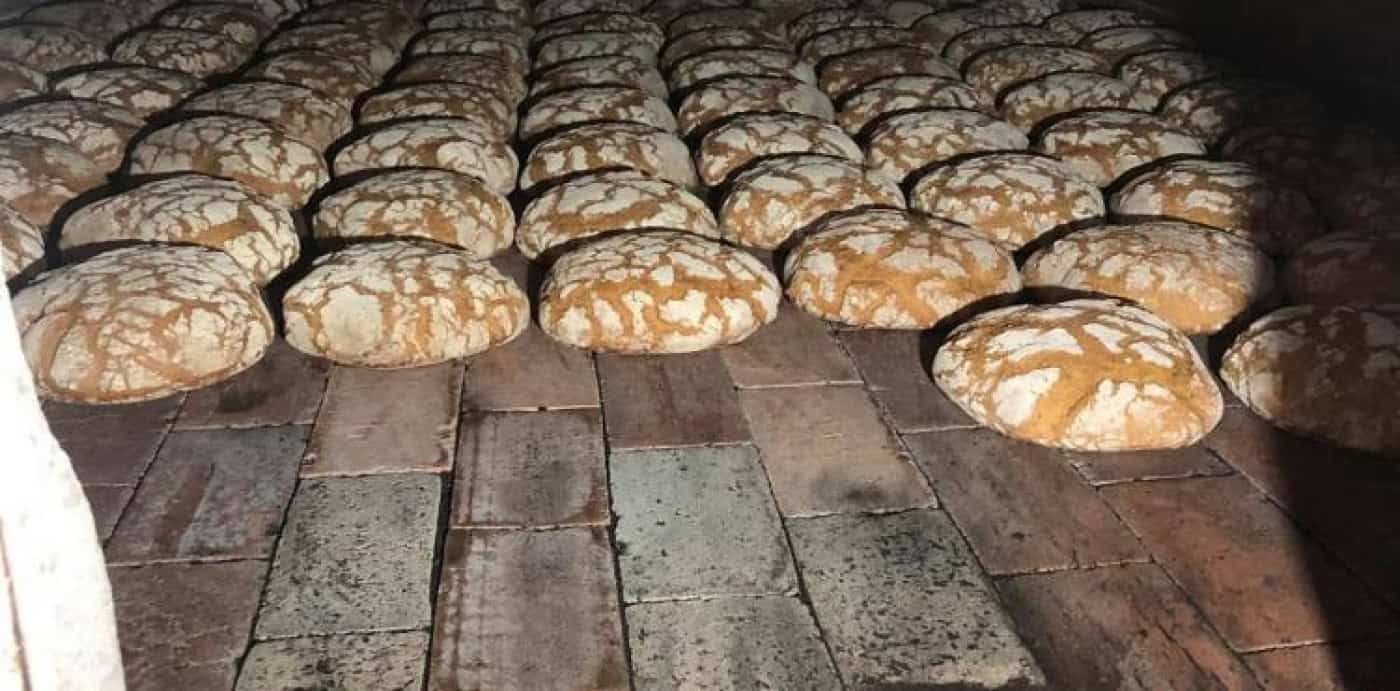 Preço do pão pode aumentar significativamente no início de 2025