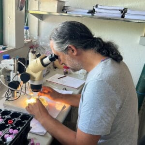 Investigador da UMinho descobre nova espécie marinha