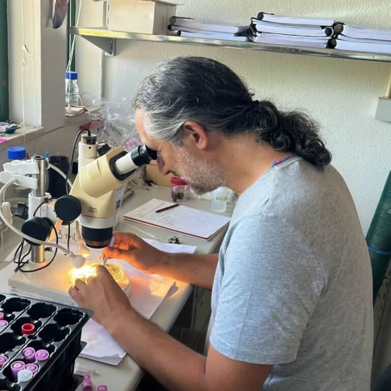 Investigador da UMinho descobre nova espécie marinha