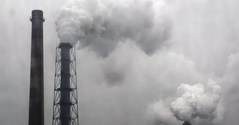 Norte quer criar Observatório de Carbono para atingir neutralidade em 2050