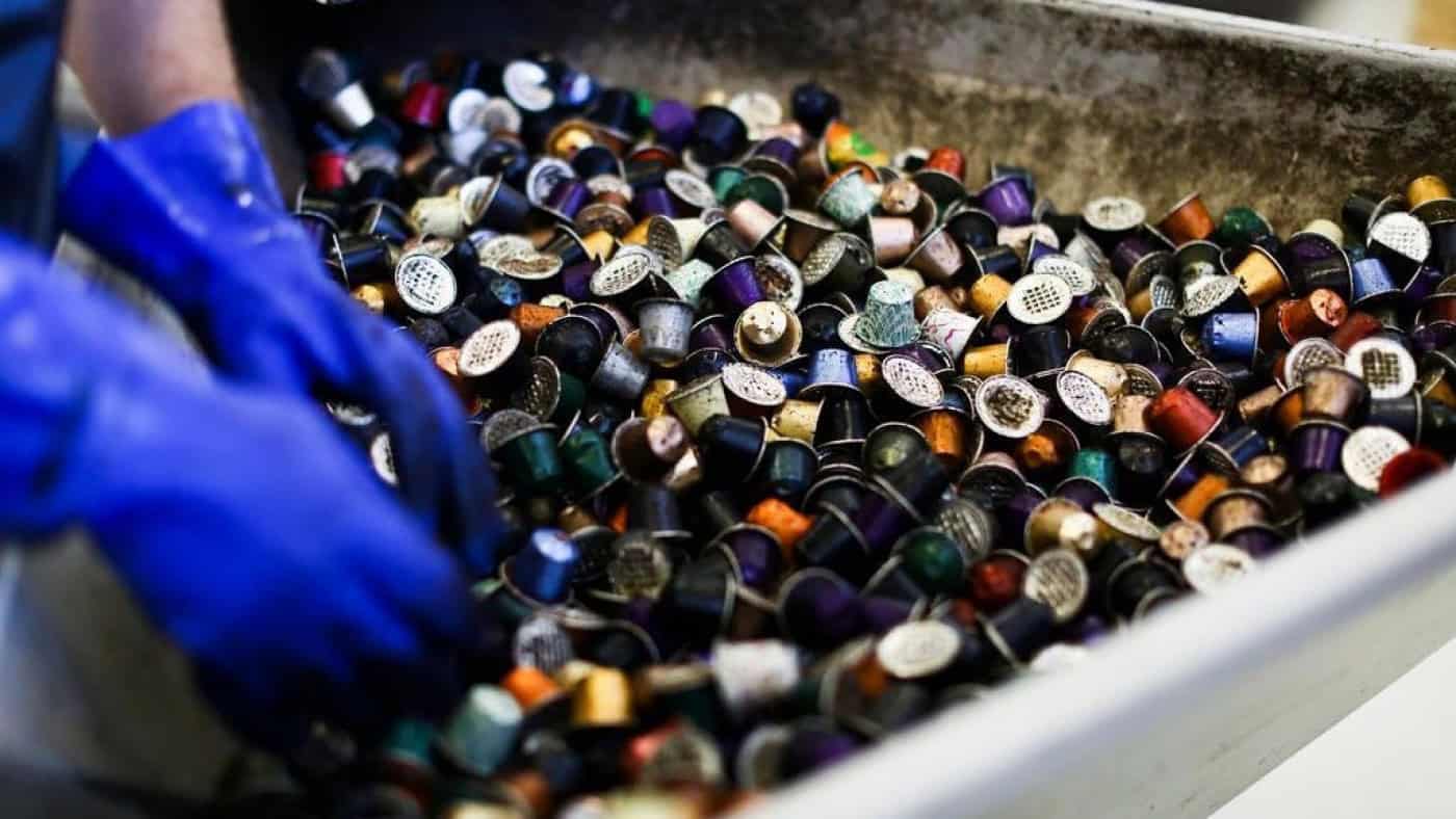 Guimarães recolheu mais de 1 milhão de cápsulas de café desde junho de 2023