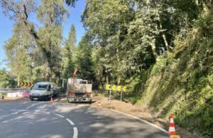 Caíram mais de 50 árvores no Bom Jesus na tempestade de outubro