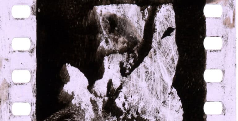 Exposição 'Luxúria' de Pedro Bastos no Museu de Alberto Sampaio