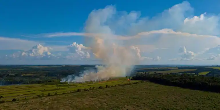 COP29: Brasil quer mais dinheiro para fundo climático sem aumentar número de países doadores