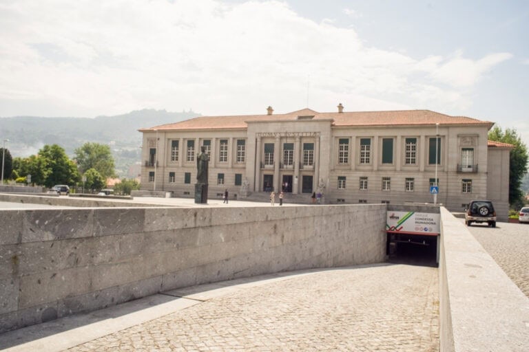 Oposição preocupada com número elevado de avenças no Parque da Mumadona