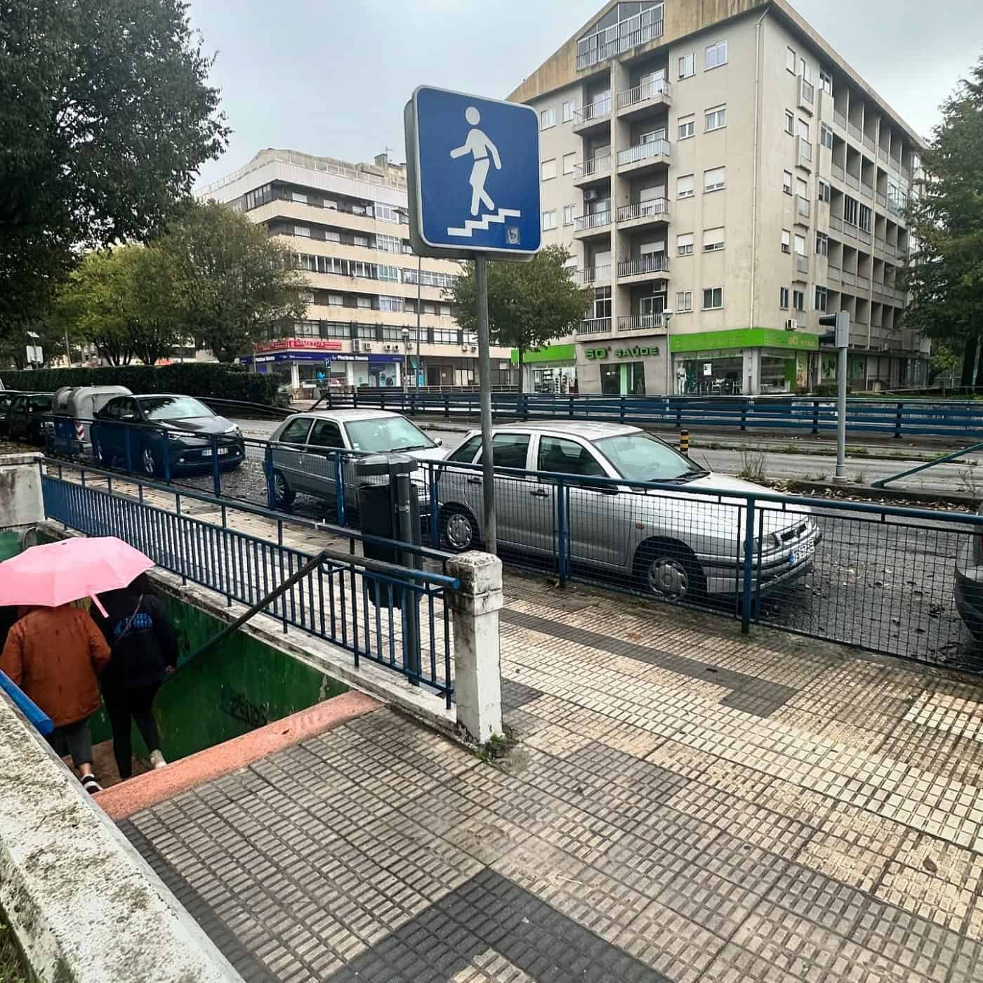 Oposição quer mais investimento para reduzir atropelamentos em Braga