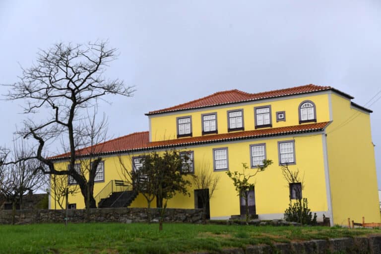 Câmara de Famalicão abre inquérito interno ao derrube não autorizado da  réplica da velha Acácia do Jorge