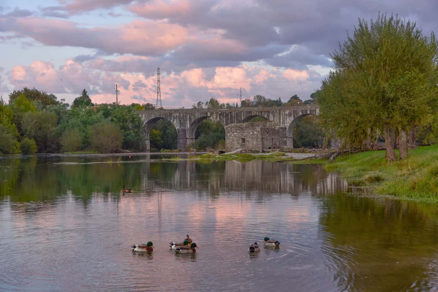 Palmeira recebe luz verde do Parlamento para ser Vila