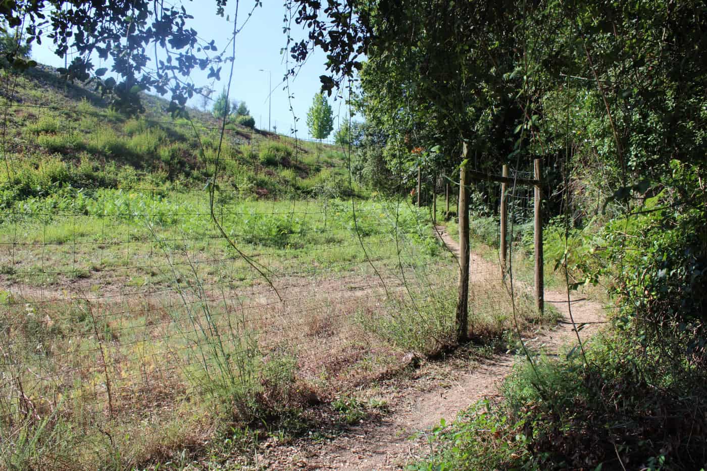 Governo cede 9 hectares à CMB para Parque Ecomonumental a partir de 6ª feira