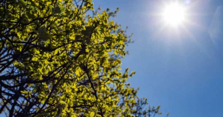 Natal com sol e pouco frio em Portugal Continental