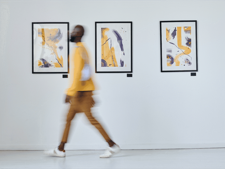 Metade dos projetos de Artes Visuais da DGArtes sem apoio por falta de verba