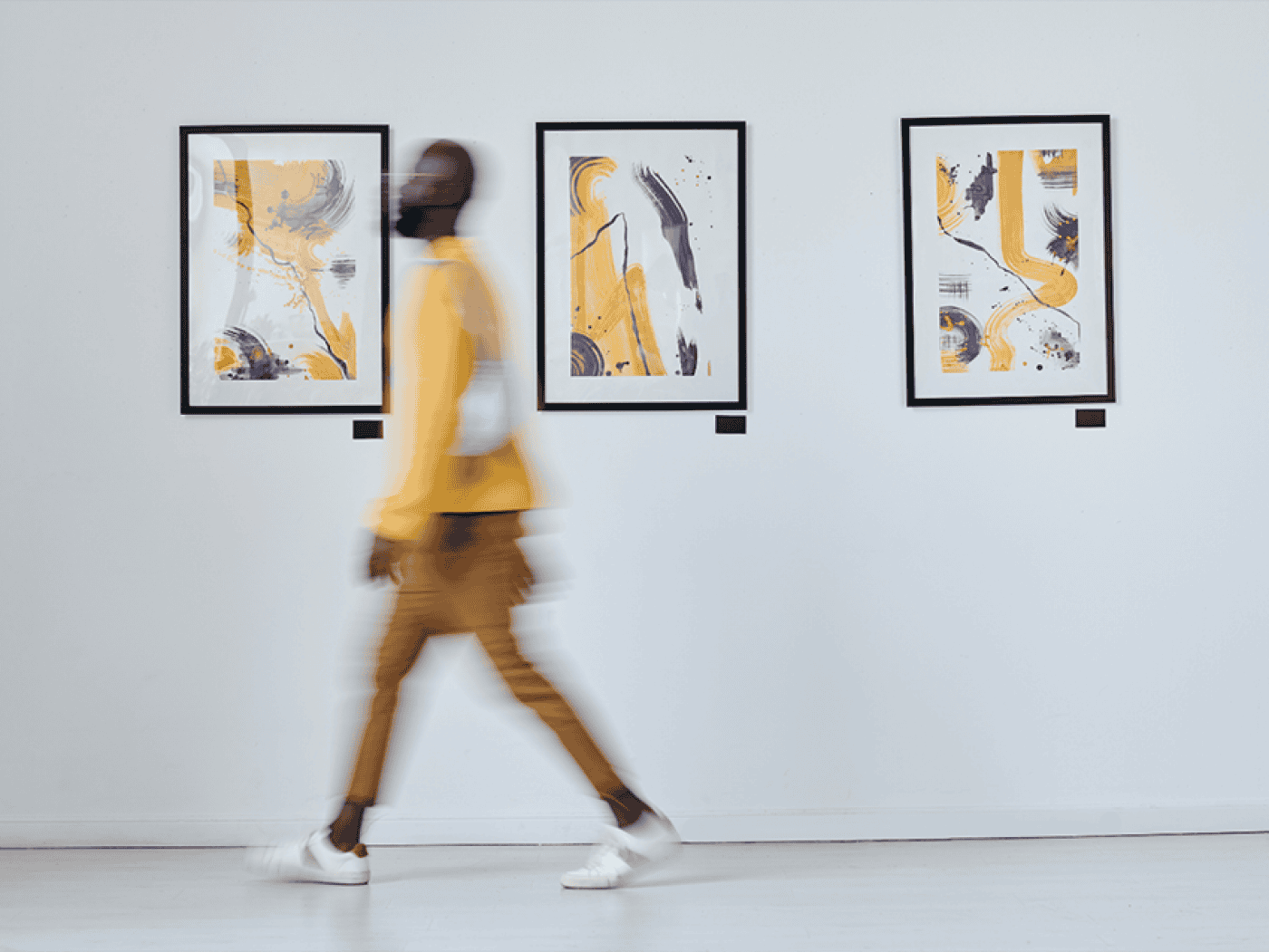 Metade dos projetos de Artes Visuais da DGArtes sem apoio por falta de verba&nbsp;