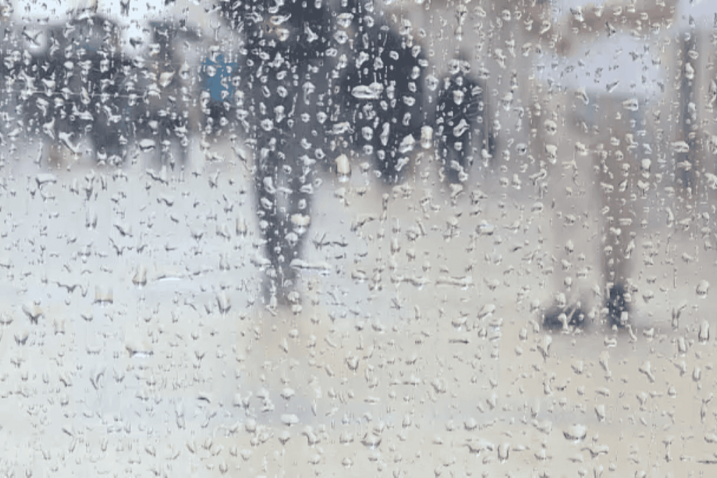 Braga entre os três distritos do continente sob aviso laranja devido à chuva e vento