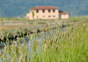Conselho Nacional do Ambiente dá parecer negativo à alteração da lei dos solos 
