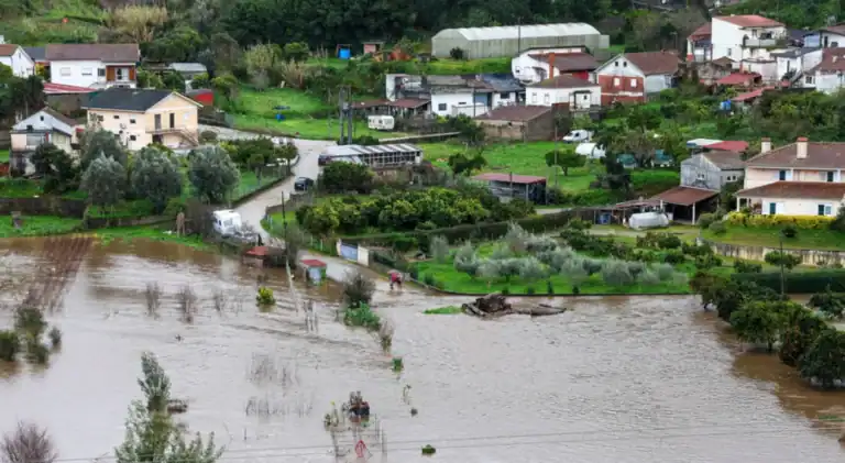 Proteção Civil registou 48 ocorrências até às 07:00&nbsp;