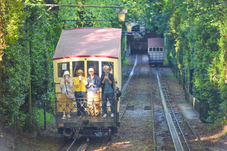 Elevador do Bom Jesus transportou 700 mil pessoas em 2024