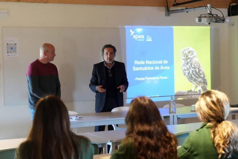 Câmara de Braga quer integrar Picoto  na Rede Nacional de Santuários de Aves