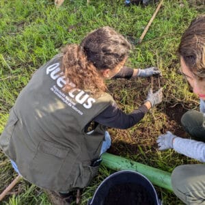 Quercus expulsa ambientalistas que exerceram funções no núcleo de Braga