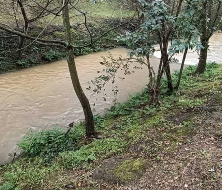Proteção Civil identifica origem de descarga ilegal no Rio Este