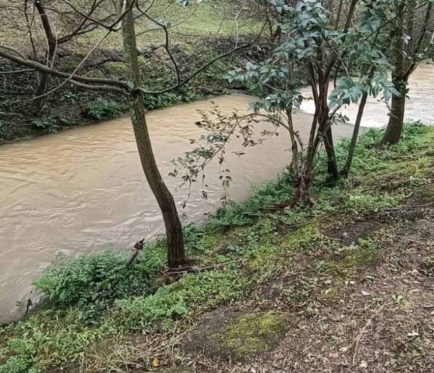 Proteção Civil identifica origem de descarga ilegal no Rio Este