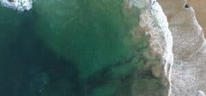 Casa das Artes de Famalicão recebe a ópera '18 months'