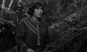 Portugal candidata filme de Miguel Gomes a prémios da Academia Brasileira de Cinema&nbsp;