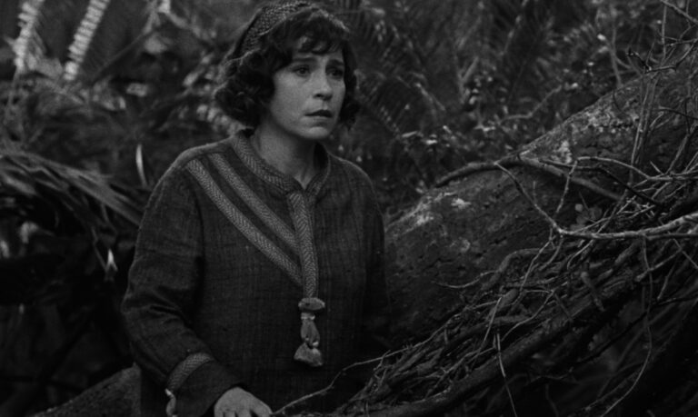 Portugal candidata filme de Miguel Gomes a prémios da Academia Brasileira de Cinema