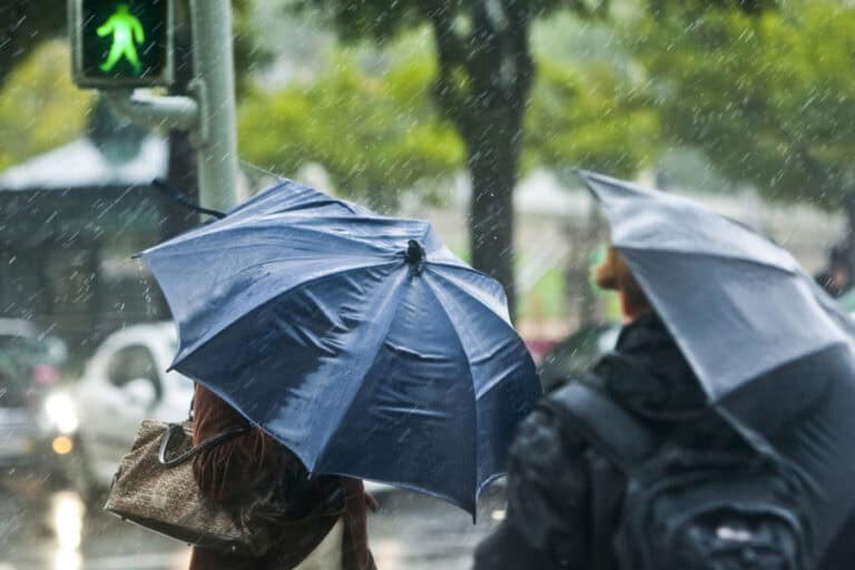 Proteção Civil registou 657 ocorrências devido à depressão Jana