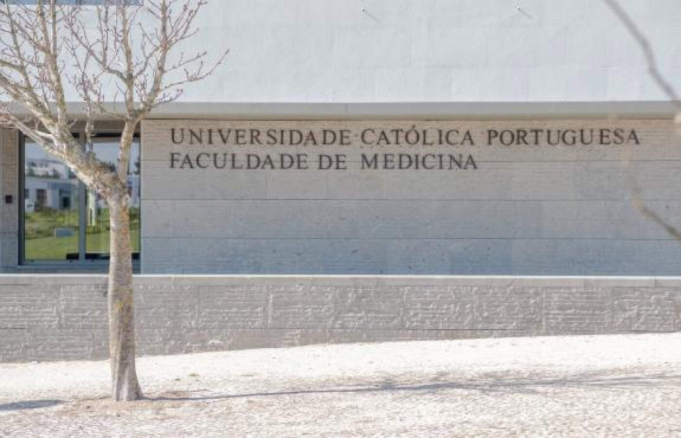 Católica vai duplicar número de vagas em Medicina no próximo ano letivo