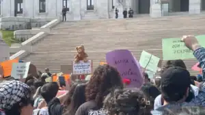 Centenas manifestam-se em frente ao Parlamento para afirmar que "Violação não tem perdão"&nbsp;
