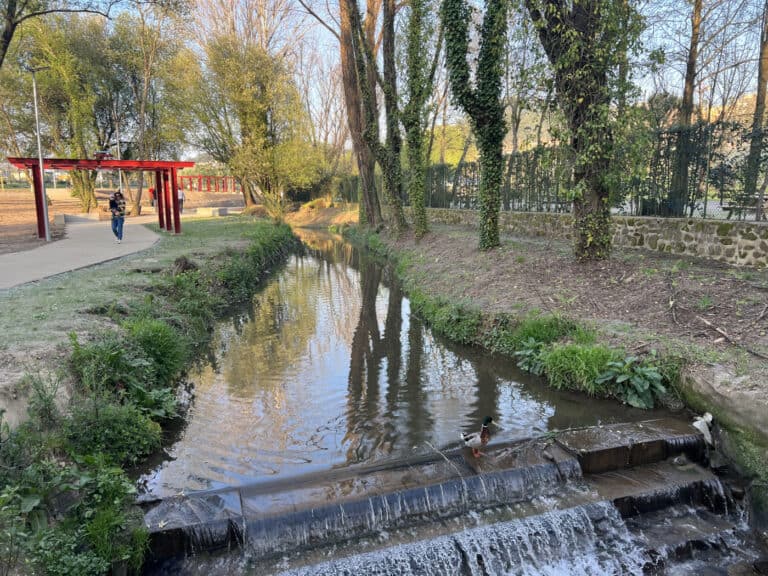 PS sugere novo complexo desportivo na zona norte de Braga